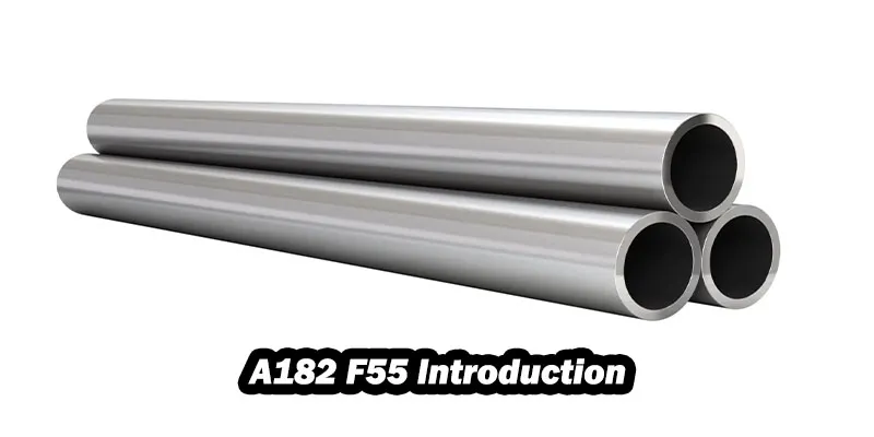 A182 F55 Introduction A182 F55 Introduction